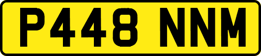 P448NNM