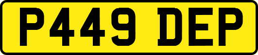 P449DEP