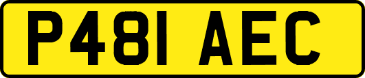 P481AEC