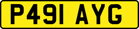P491AYG