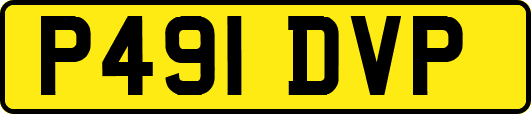 P491DVP