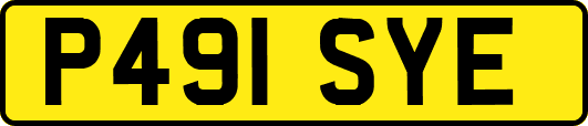 P491SYE