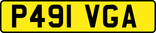 P491VGA