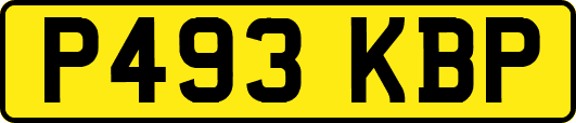 P493KBP
