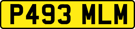 P493MLM