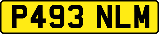 P493NLM