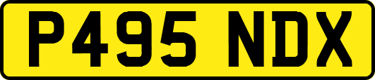 P495NDX