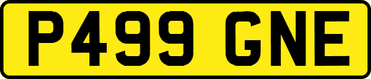 P499GNE