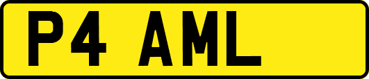 P4AML