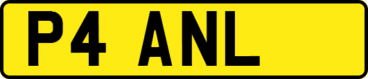 P4ANL