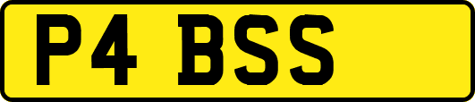 P4BSS