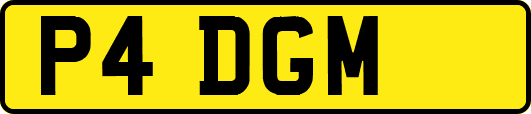P4DGM
