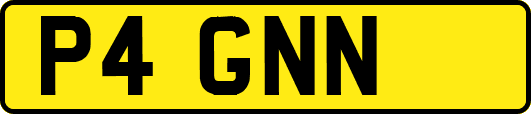 P4GNN