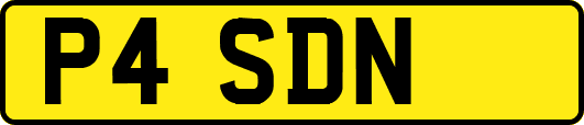 P4SDN