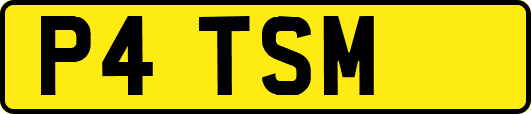 P4TSM
