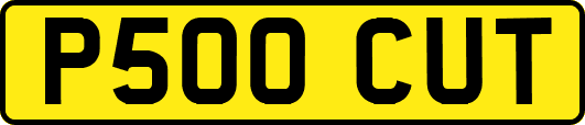 P500CUT