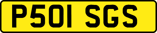 P501SGS