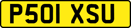 P501XSU