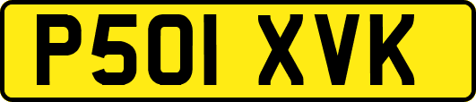 P501XVK