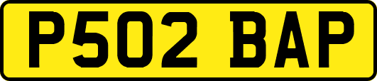 P502BAP