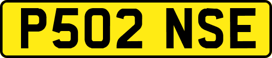 P502NSE