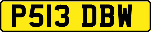 P513DBW