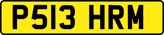 P513HRM