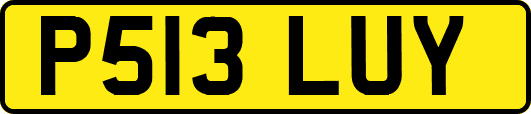 P513LUY