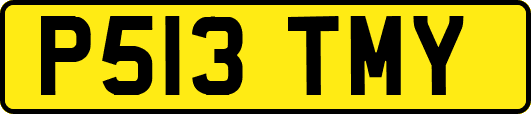 P513TMY