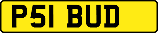 P51BUD