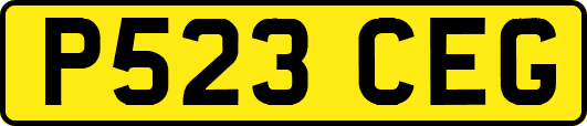 P523CEG