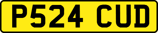 P524CUD