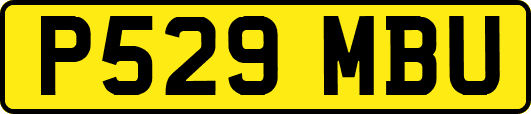 P529MBU