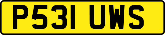 P531UWS