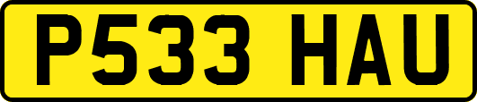 P533HAU