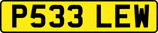 P533LEW