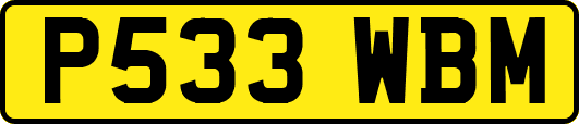 P533WBM