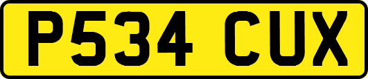 P534CUX