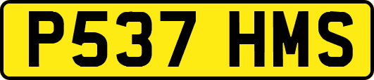 P537HMS