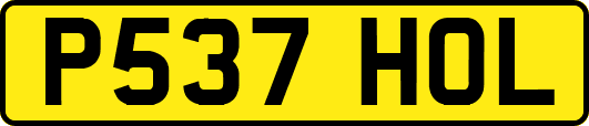 P537HOL