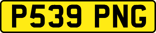 P539PNG