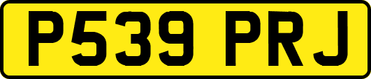 P539PRJ
