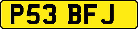 P53BFJ