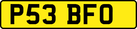 P53BFO