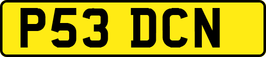 P53DCN