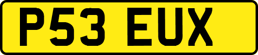 P53EUX