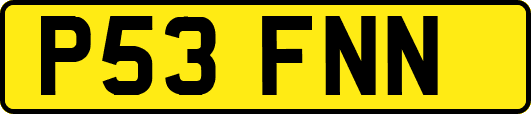 P53FNN