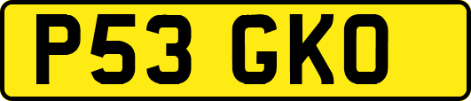 P53GKO
