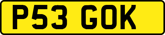 P53GOK