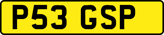 P53GSP